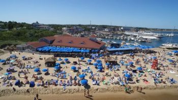 beach bars summer